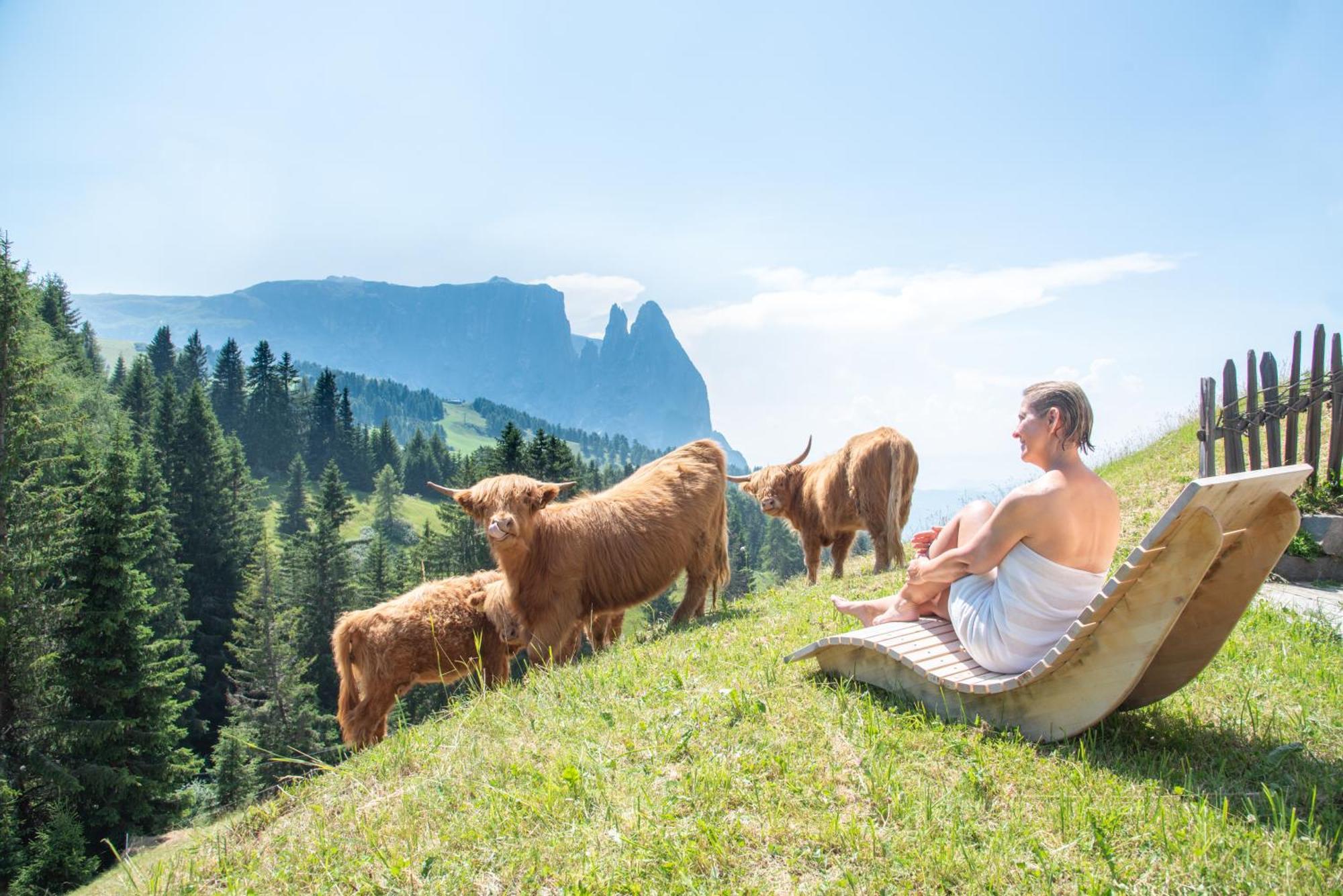 Hotel Chalet Dolomites Seiser Alm Exterior foto